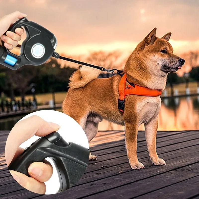 Amélie Lumière | The Extendable LED Leash for Safe Night Walks