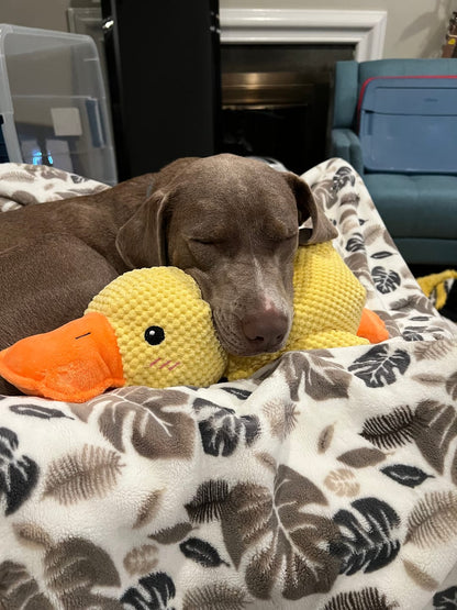 CALMING DUCK – Plush Comfort Toy for Dogs