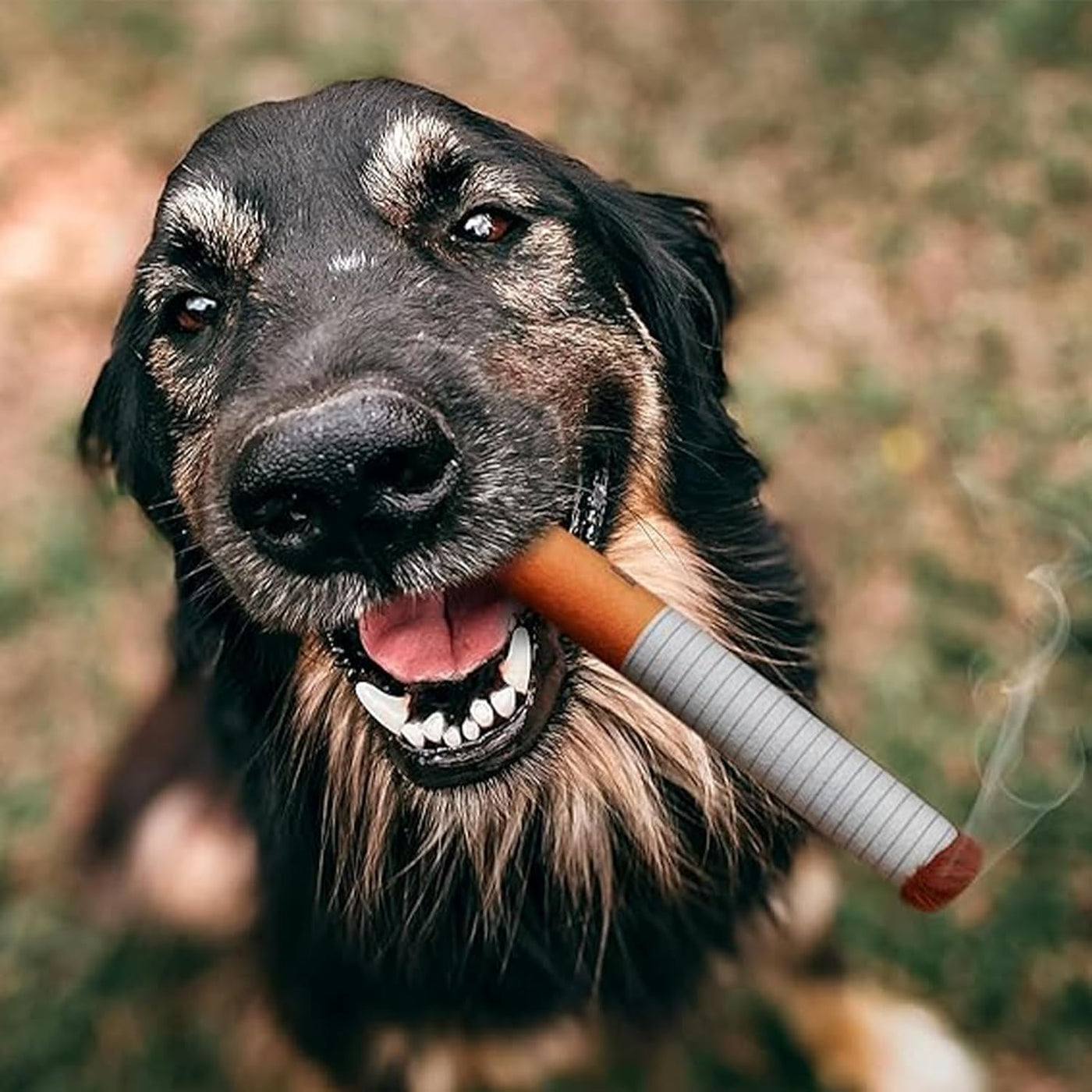 Seltyn - Interactive Cigarette Dog Toy for Endless Fun