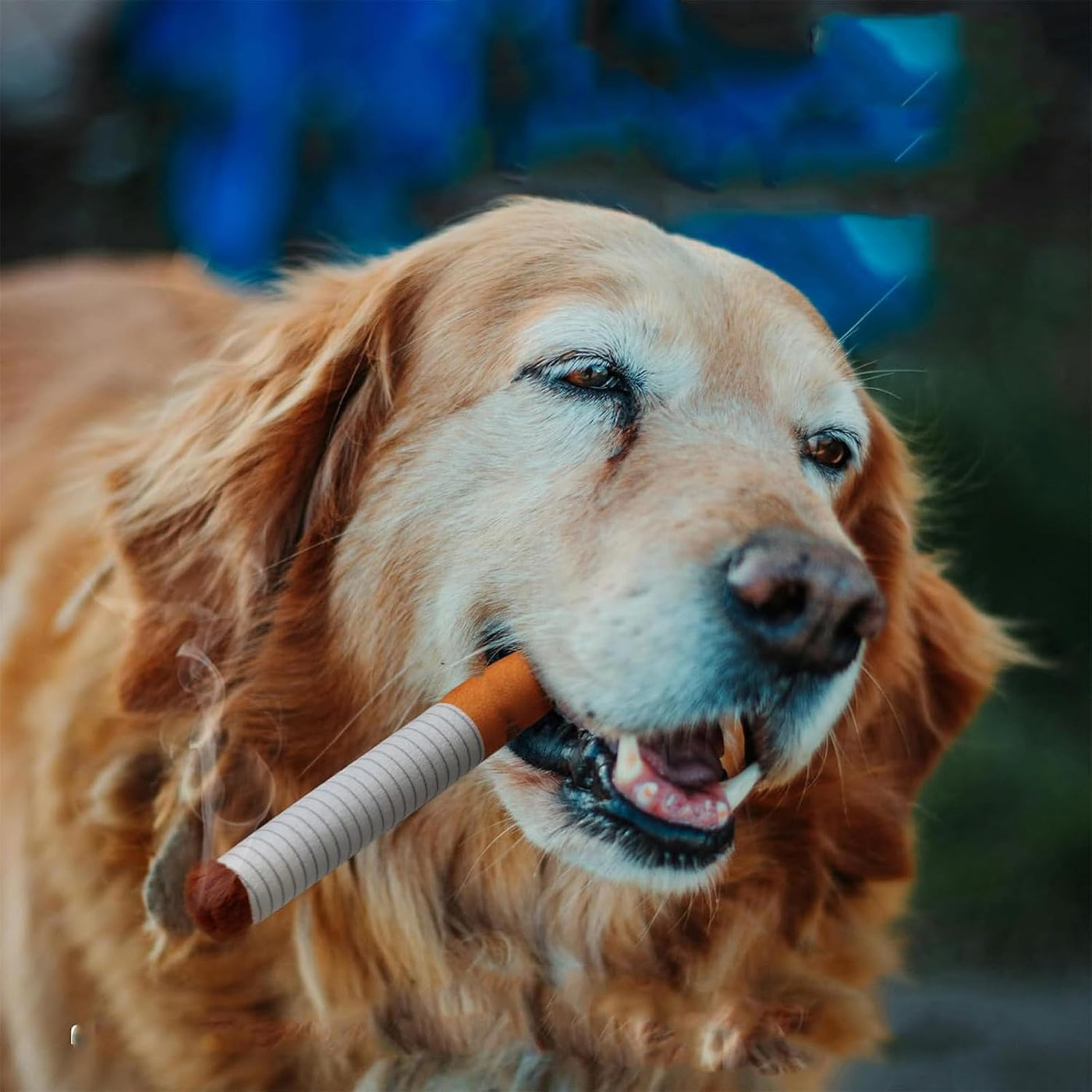 Seltyn - Interactive Cigarette Dog Toy for Endless Fun