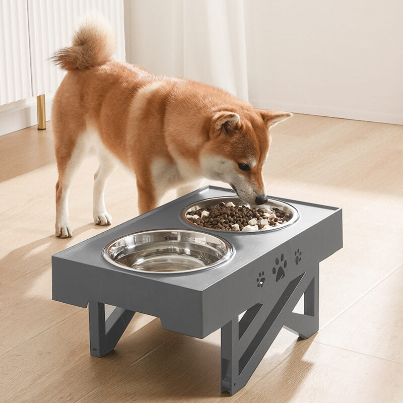 Adjustable Dog Bowls for Ergonomic Feeding