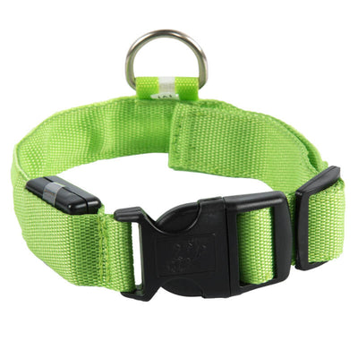 Rechargeable High-Visibility Dog Collar