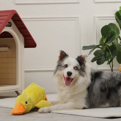 CALMING DUCK – Plush Comfort Toy for Dogs