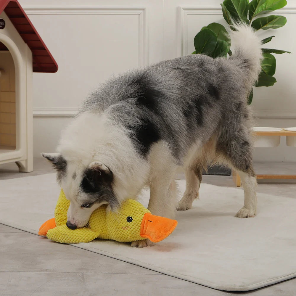 CALMING DUCK – Plush Comfort Toy for Dogs