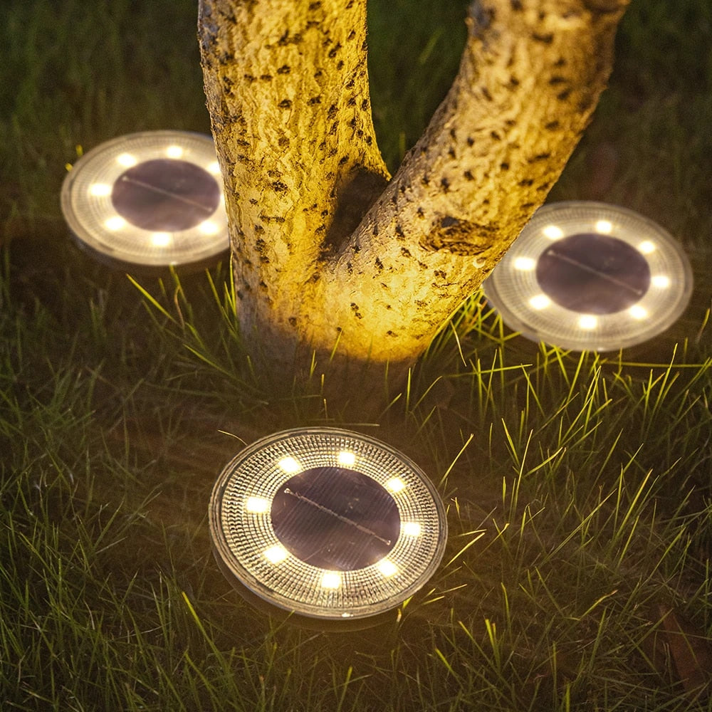 SOLORA - Eco-Friendly LED Solar Garden Lights (Pack of 4-20)