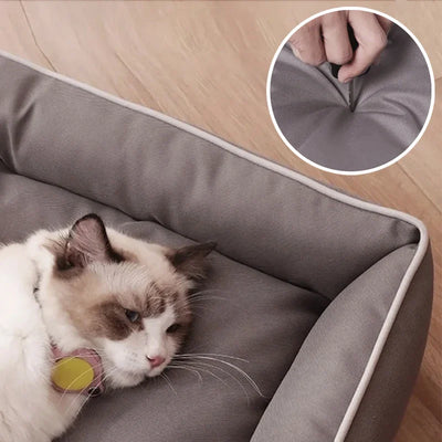 SofaDurable | Scratch-Resistant Bed