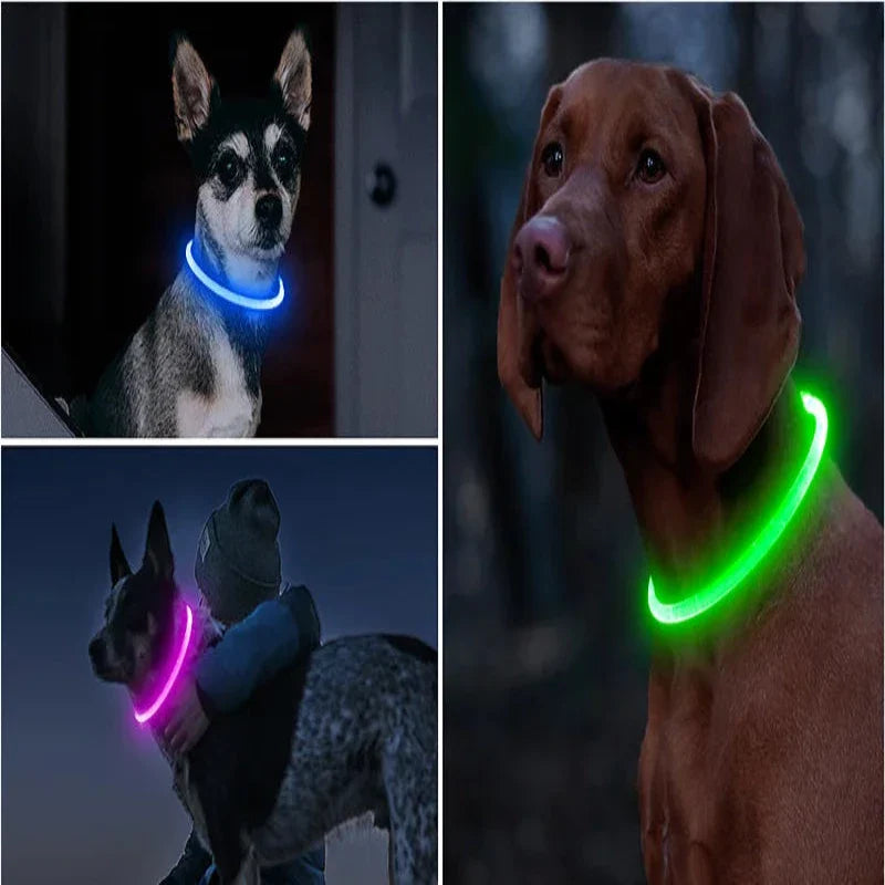 LUMO - Waterproof LED Glow Collar for Dogs