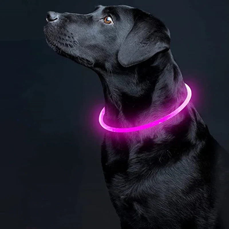 LUMO - Waterproof LED Glow Collar for Dogs