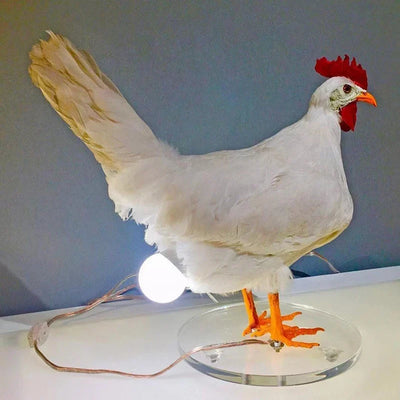 Chiki | Chicken Egg Lamp