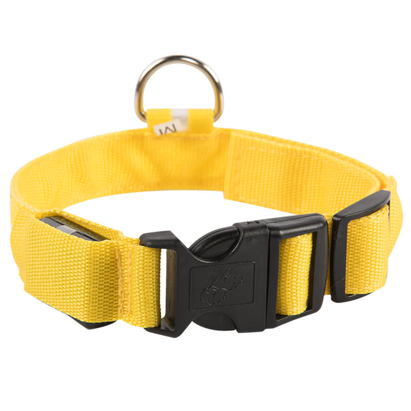 Rechargeable High-Visibility Dog Collar