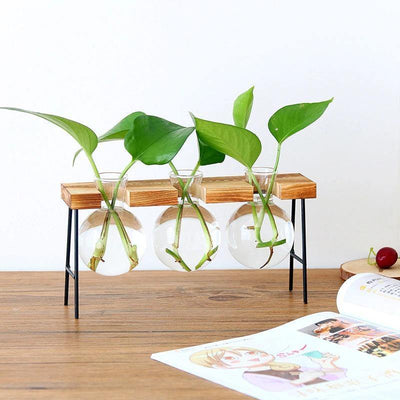 BLOOMERA - Glass Plant Vase with Metal &amp; Wooden Stand