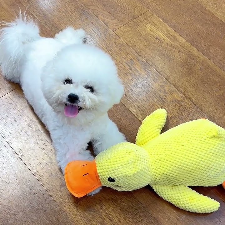 CALMING DUCK – Plush Comfort Toy for Dogs