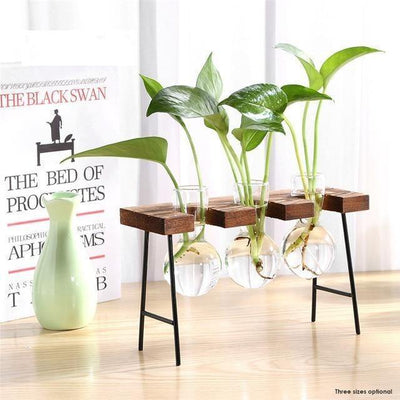 BLOOMERA - Glass Plant Vase with Metal &amp; Wooden Stand