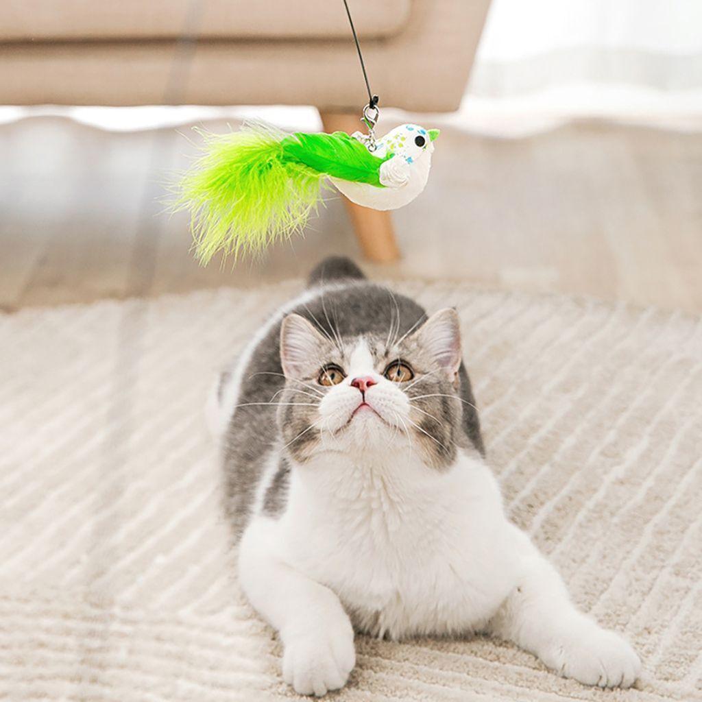 BIRDIE PLAY – Interactive Bird Simulation Cat Toy