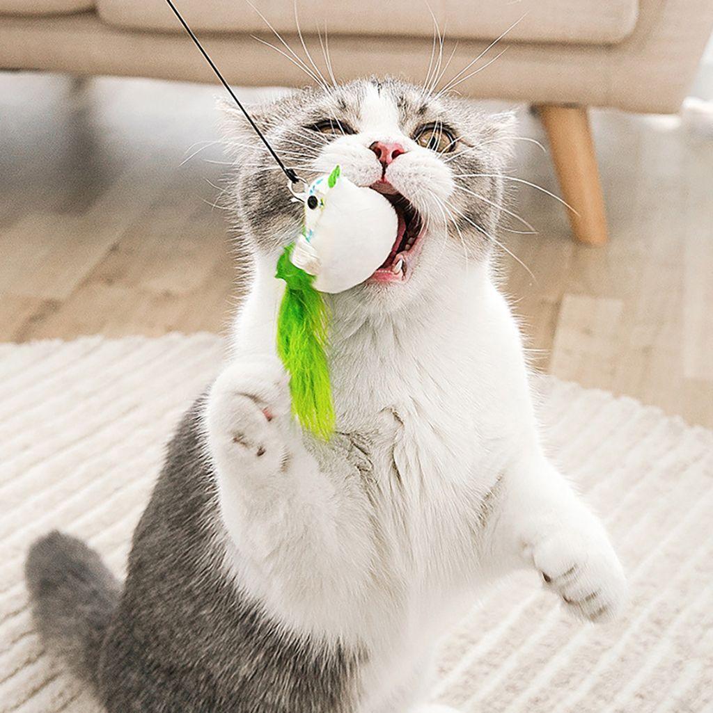 BIRDIE PLAY – Interactive Bird Simulation Cat Toy